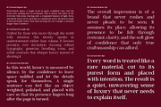 Morland – A Modern Elegant Serif, a Slab Serif Font by roomspace creative lab (Thumbnail 4 of 15)
