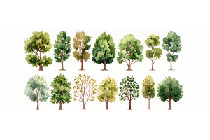 Watercolor tree illustrations, a Nature Photo by Igor Tichonow