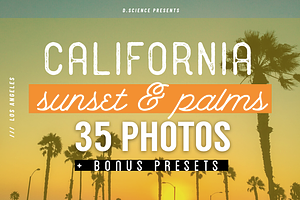 Sunset & Palm Trees Photo Bundle