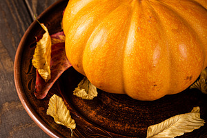 Autumn pumpkin thanksgiving containing autumn, background, and squash