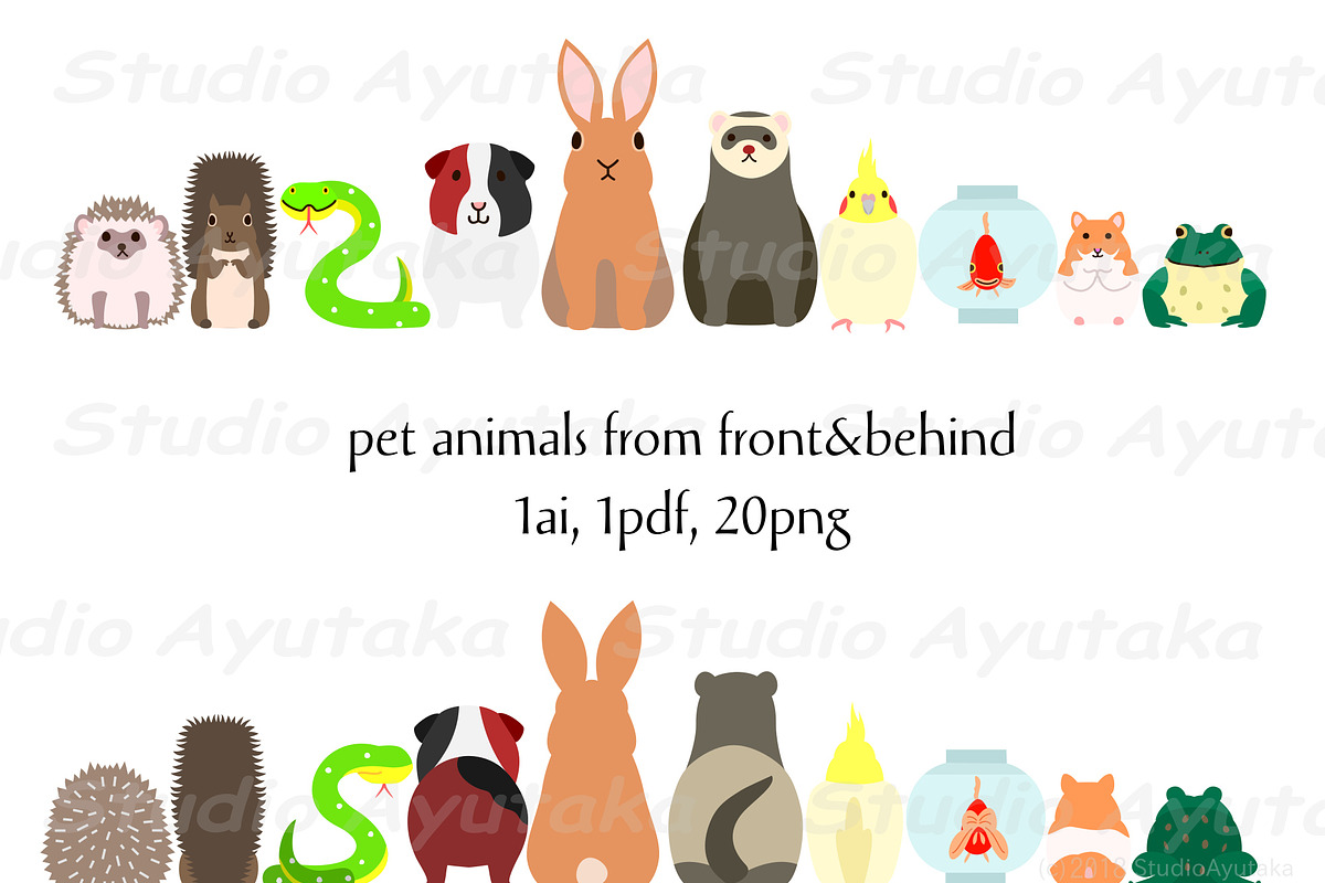 10 pet animals front&back bundle, a Graphic by dogsinarow (Photo 1 of 3)