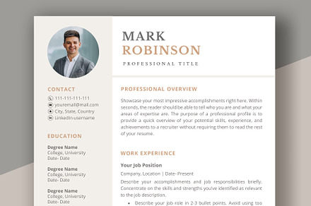 Professional CV template/ resume, a Resume Template by aivos
