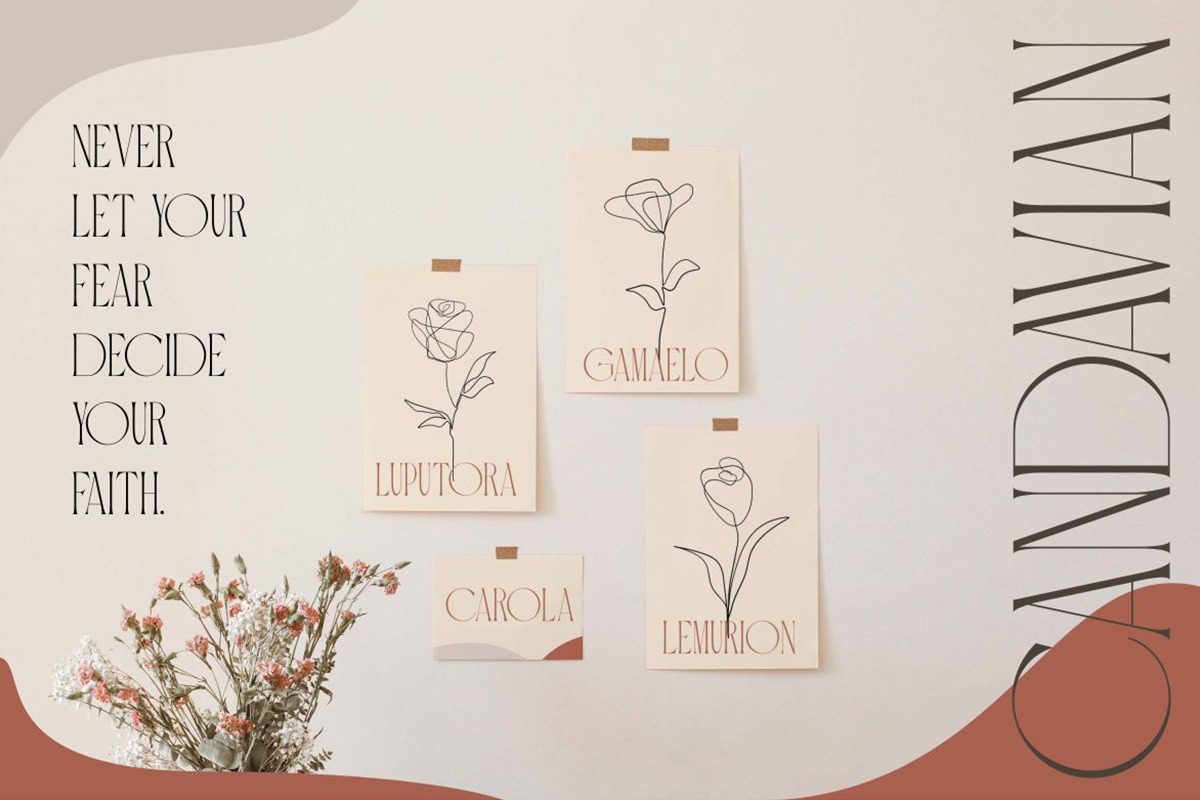 Carola | Modern Serif, a Serif Font by Muntab_Art (Photo 6 of 10)