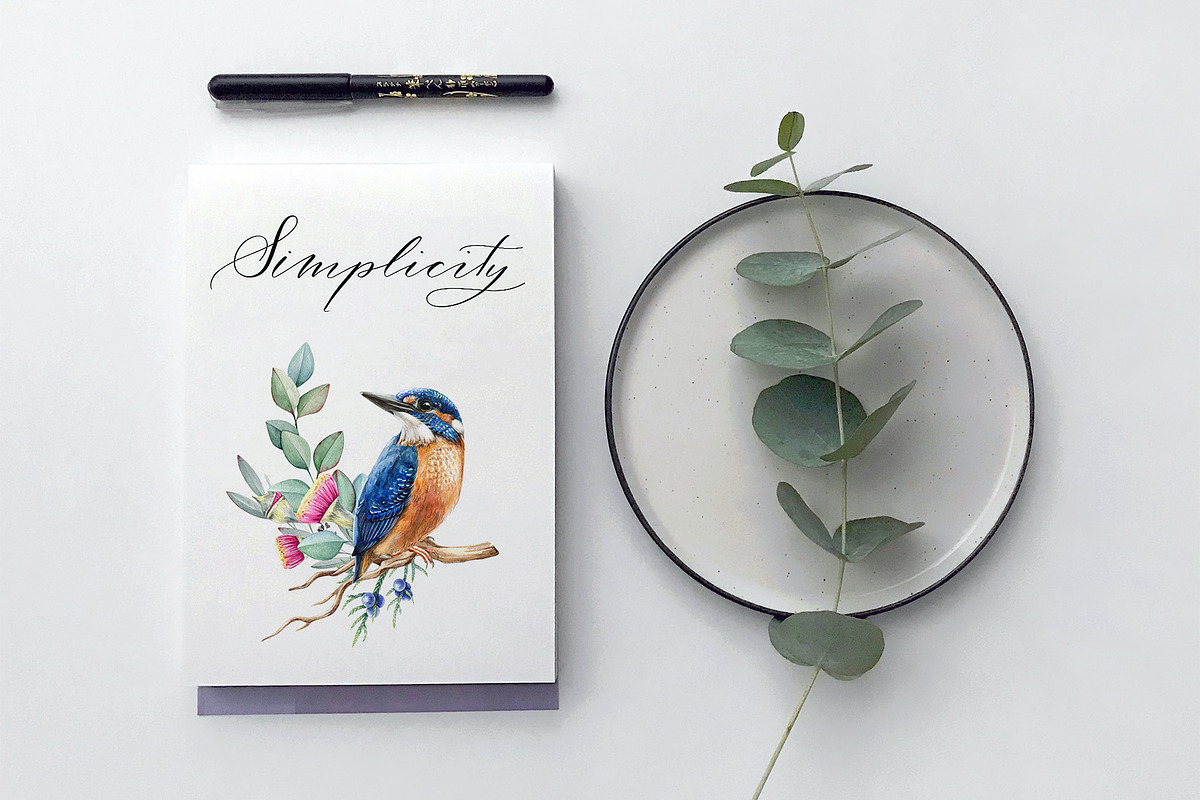 Forest Birds Watercolor Set, an Animal Illustration by AnitaPol (Photo 8 of 26)
