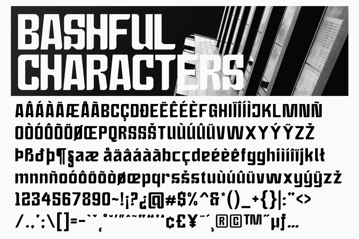 Bashful - Sans Condensed Font, a Sans Serif Font by tebaltipislab (Photo 8 of 12)