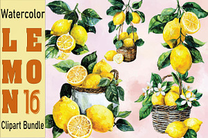 Watercolor Lemon Clipart, an Illustration by SVGArt