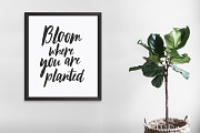 October Storm modern brush font, a Script Font by Angele Kamp (Thumbnail 3 of 9)