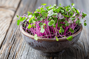Fresh purple radish microgreen in bowl on wooden table, a Food & Drink Photo by AlyaAnd