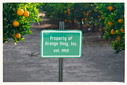 Grove 52 - Retro Agriculture Font, a Sans Serif Font by Parker Creative (Thumbnail 7 of 10)