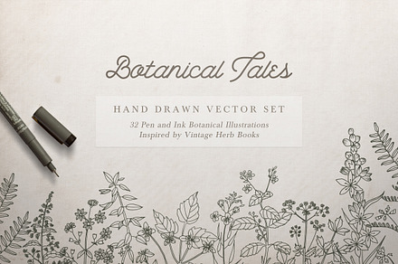 Botanical Illustrations Vector Set