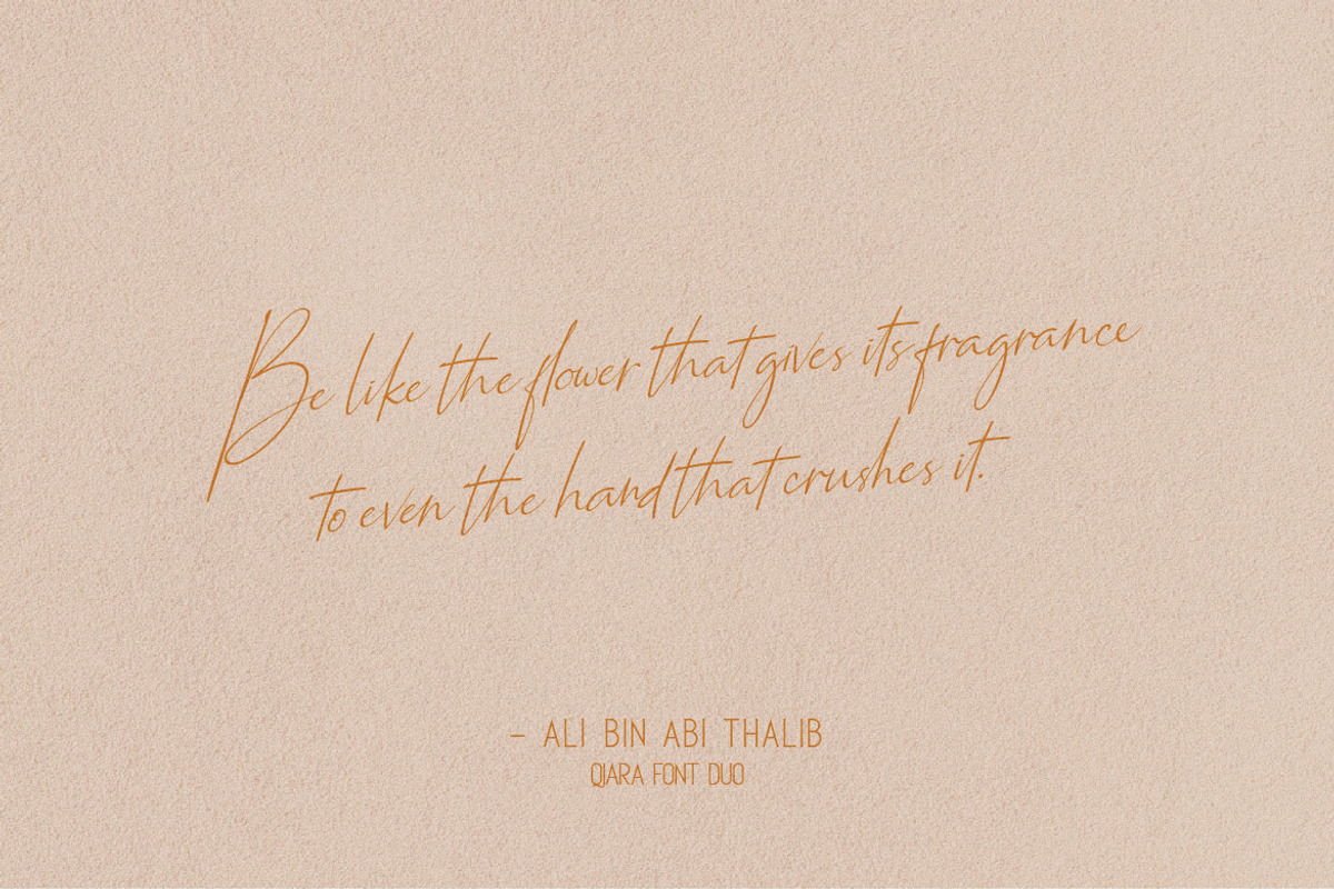 Qiara Font Duo, a Sans Serif Font by Almeera Std (Photo 11 of 15)