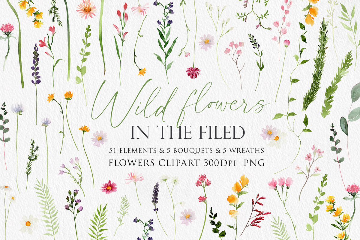 Watercolor flower -Wild flower, an Illustration by Beigetime (Photo 1 of 9)