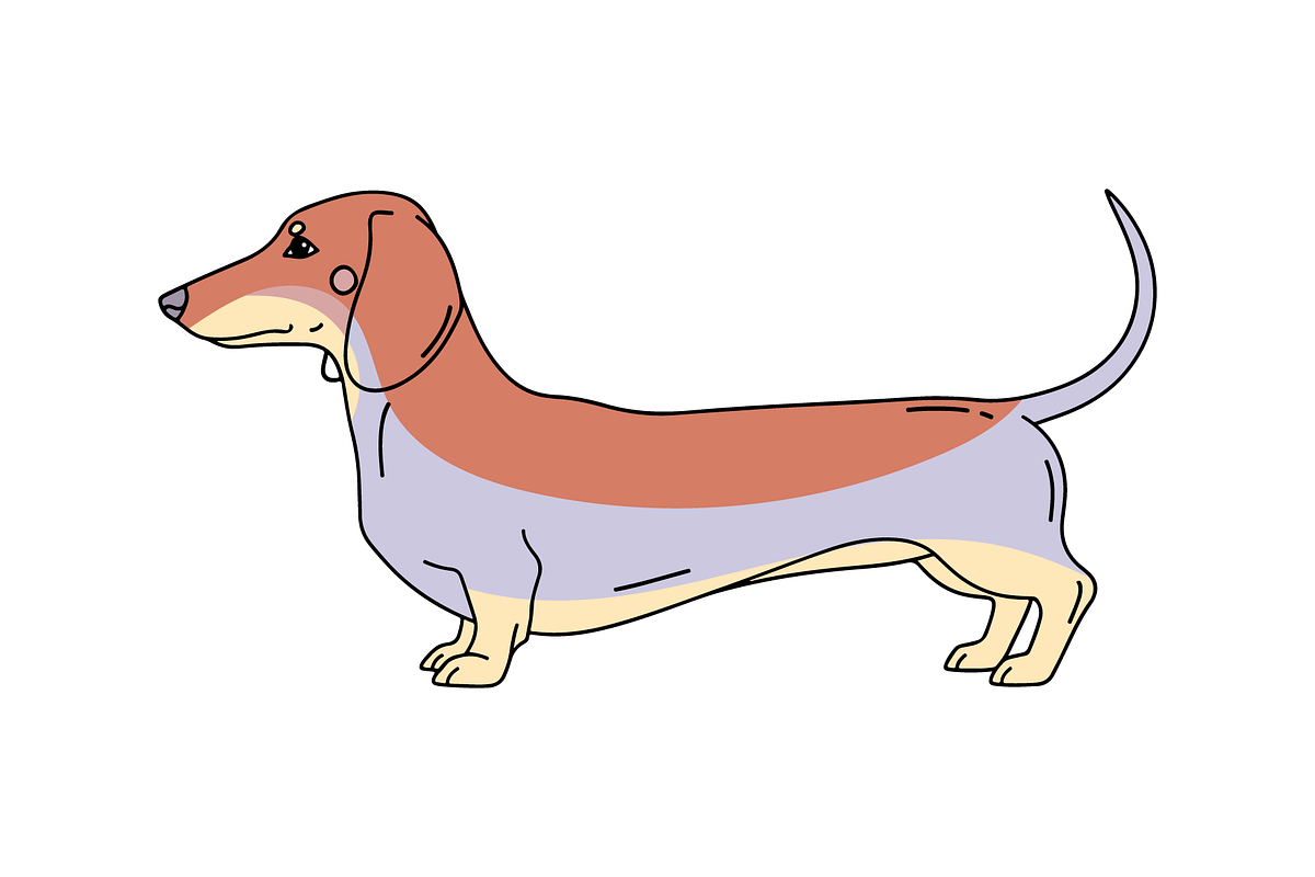 Cartoon Dachshund Vector, an Animal Illustration by MkStudio