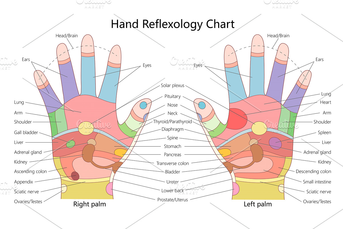 Hand Reflexology Chart with Pressure, a Healthcare Illustration by AlexArt
