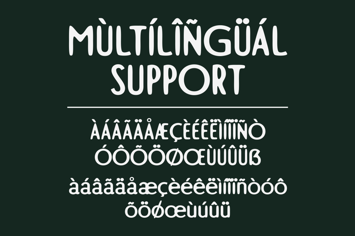 Charvine - A Modern Display Font, a Handwritten Font by Marvadesign (Photo 3 of 5)
