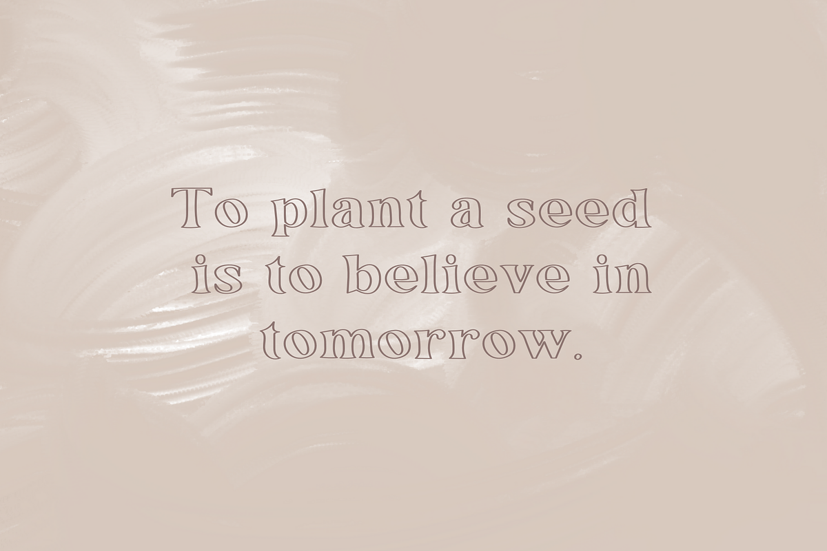 Apple Hill Duo, a Serif Font by Sofia Skoog (Photo 6 of 12)