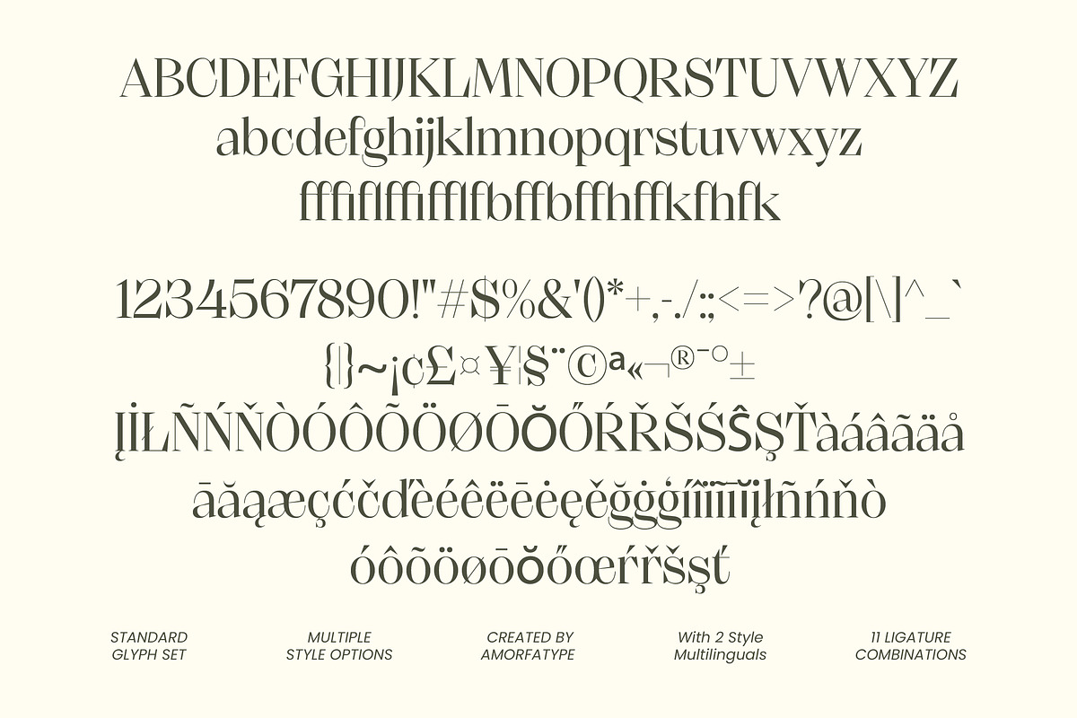Clayze High Contrast Editorial Serif, a Serif Font by AmorfaType (Photo 8 of 8)