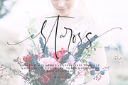 The Brittany / Font Trio, a Script Font by Sronstudio (Thumbnail 11 of 19)