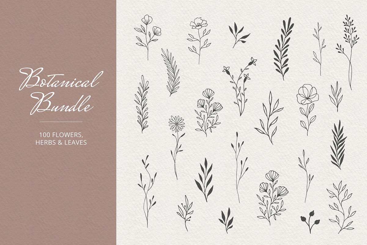 Botanical Bundle, a Decorative Illustration by Anatartan Design (Photo 2 of 7)