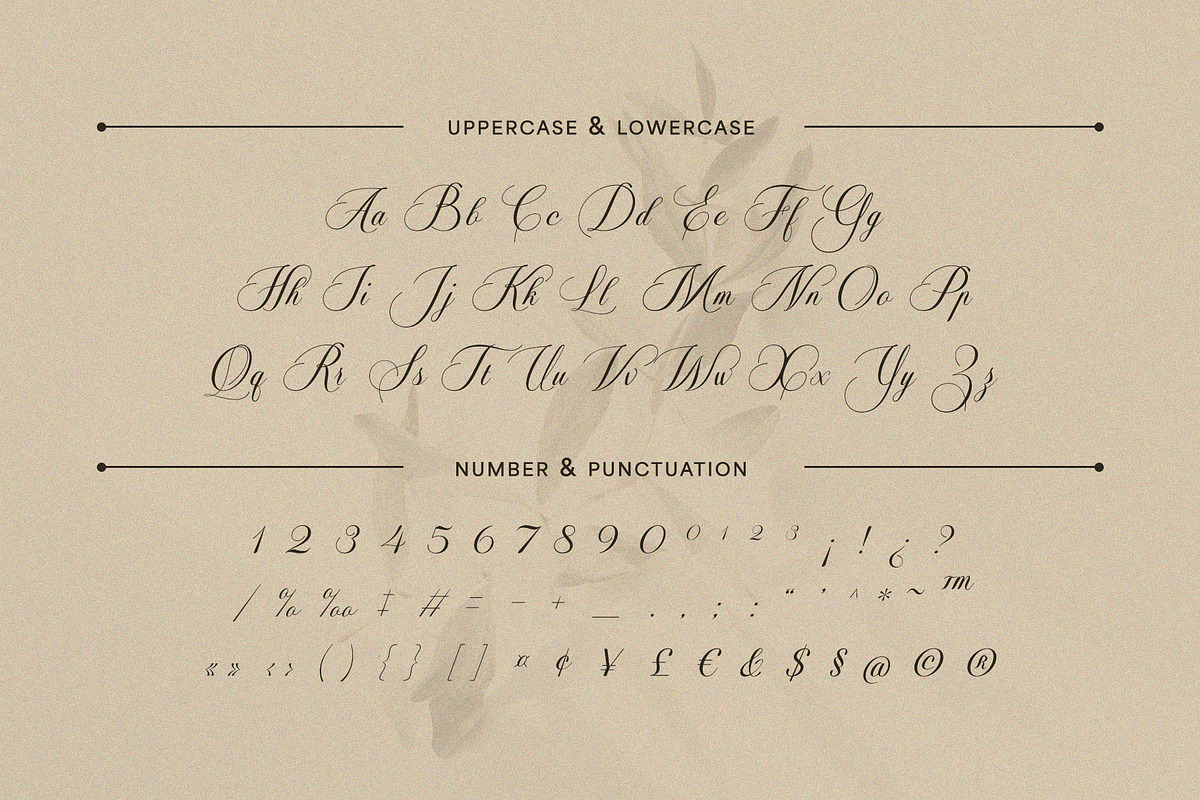 Soralize - A Modern Calligraphy Font, a Script Font by Almeera Std (Photo 2 of 10)