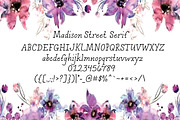 Madison Street Serif, a Serif Font by STUDIOWAYS (Thumbnail 2 of 4)