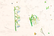 Lily of the valley Clipart, a Decorative Illustration by Lucyinyourheart (Thumbnail 4 of 4)
