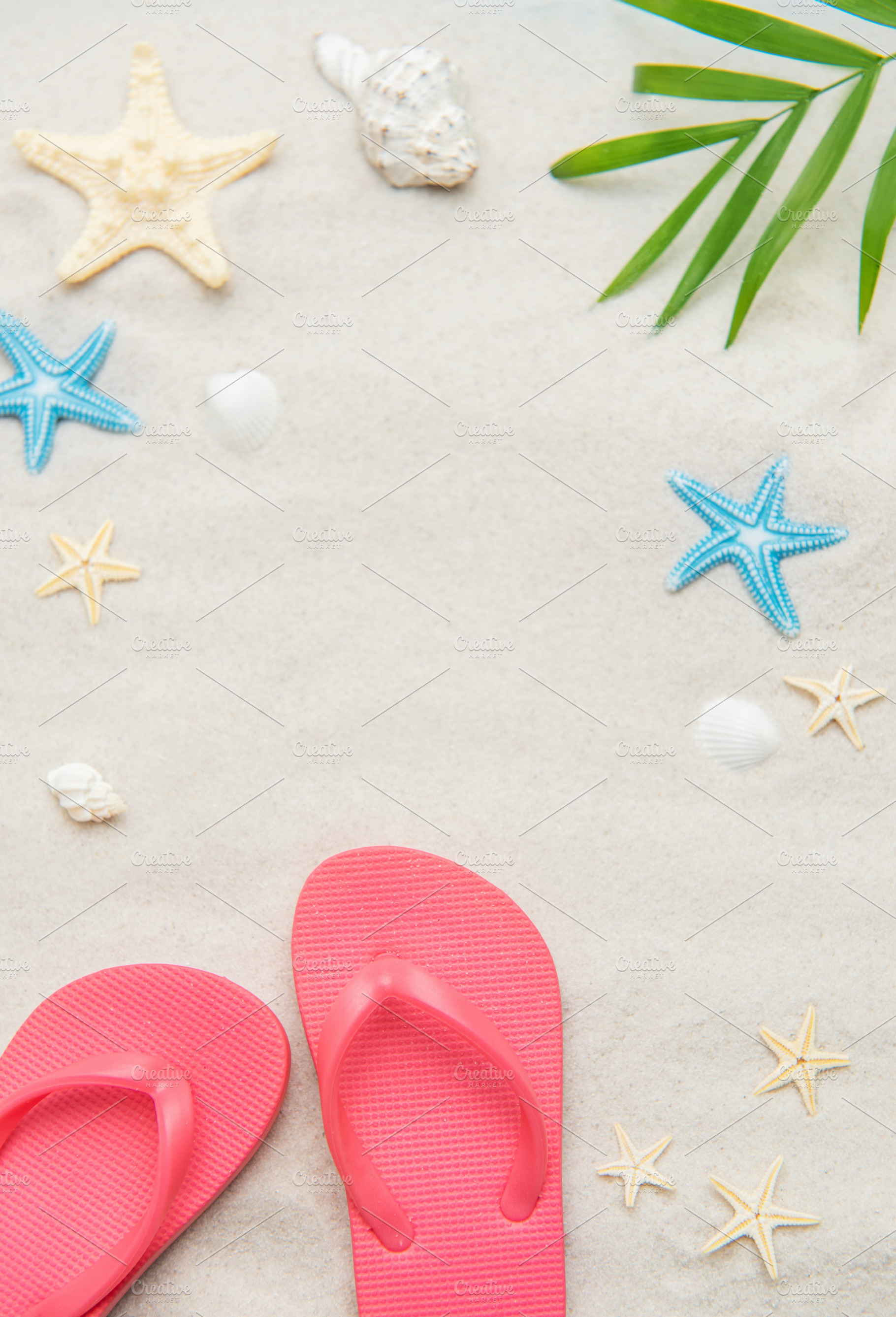 Pink flip flops, seashells, and starfishes creating relaxing sum, a Holiday Photo by Olena Rudo