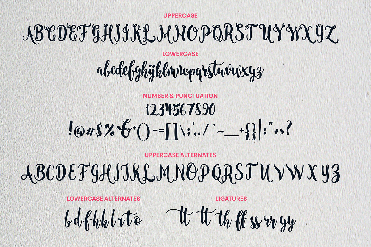 Nanda Script Font, a Script Font by Inspiratype (Photo 11 of 11)