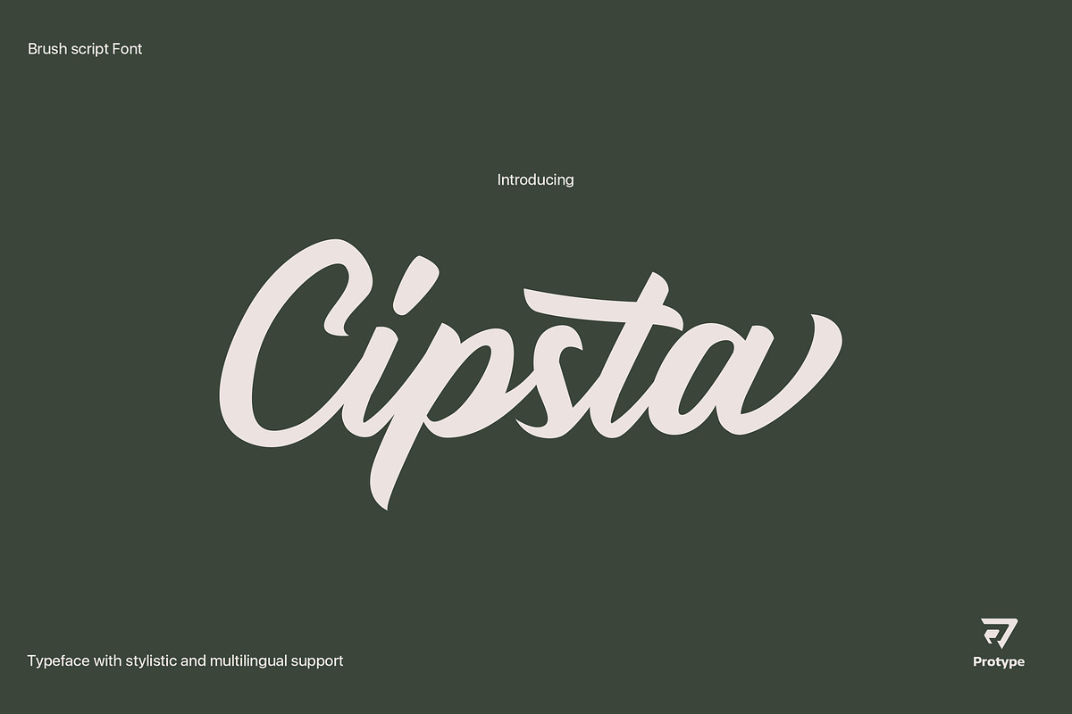 Cipsta Script Font, a Script Font by Ryan Rivaldo Vierra (Photo 1 of 10)