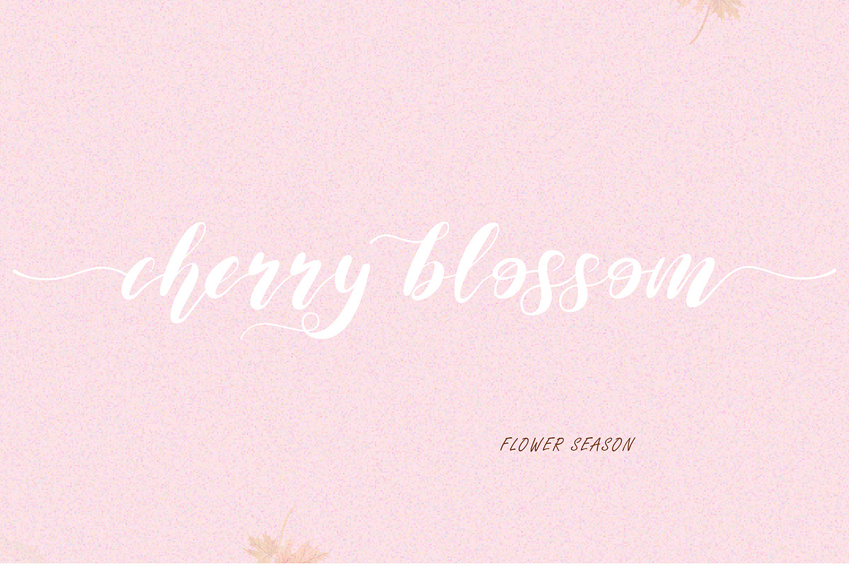 Maida Valley - Handwritten Font, a Script Font by erlosDESIGN (Photo 6 of 14)