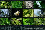 Photo Bundle: Mysterious Foliage preview 4