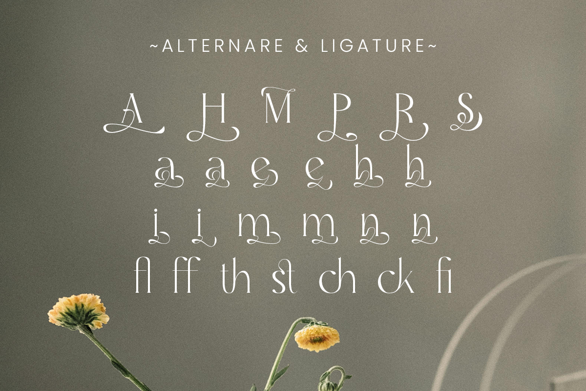 Marquis - Elegant Modern Serif, a Serif Font by roomspace creative lab (Photo 12 of 14)