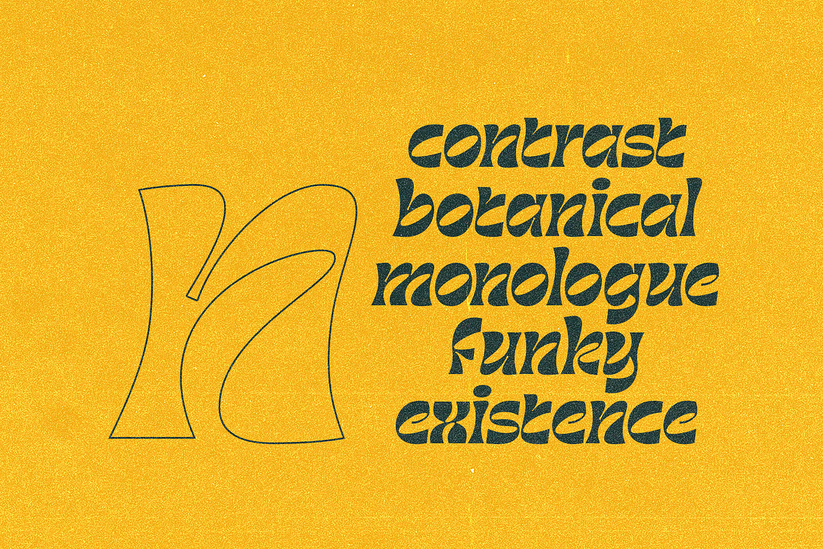 Barbra Display, a Font by nurrontype (Photo 5 of 15)