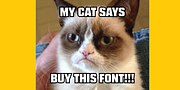 Blunt, a Sans Serif Font by Miller Type Foundry (Thumbnail 10 of 10)