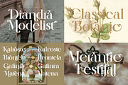 Elegant Ligature Serif  Font Bundle, a Serif Font by Alfinart (Thumbnail 16 of 16)