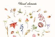 Autumn meadow Watercolor Floral, a Seasonal Illustration by Pattern + watercolor (Thumbnail 13 of 14)