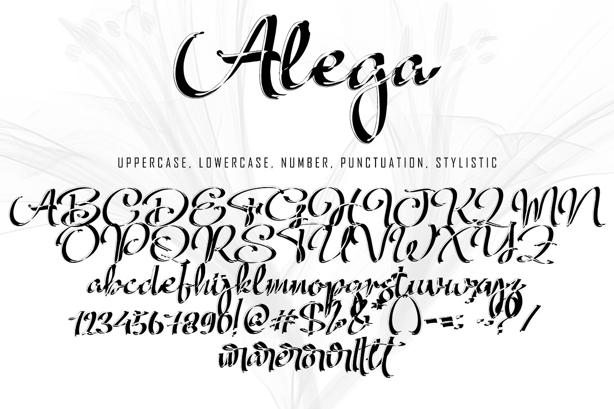 Alega, a Script Font by pineungtype (Photo 10 of 10)