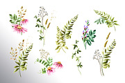 Wildflowers, a Decorative Illustration by Daria Ustiugova (Thumbnail 2 of 14)