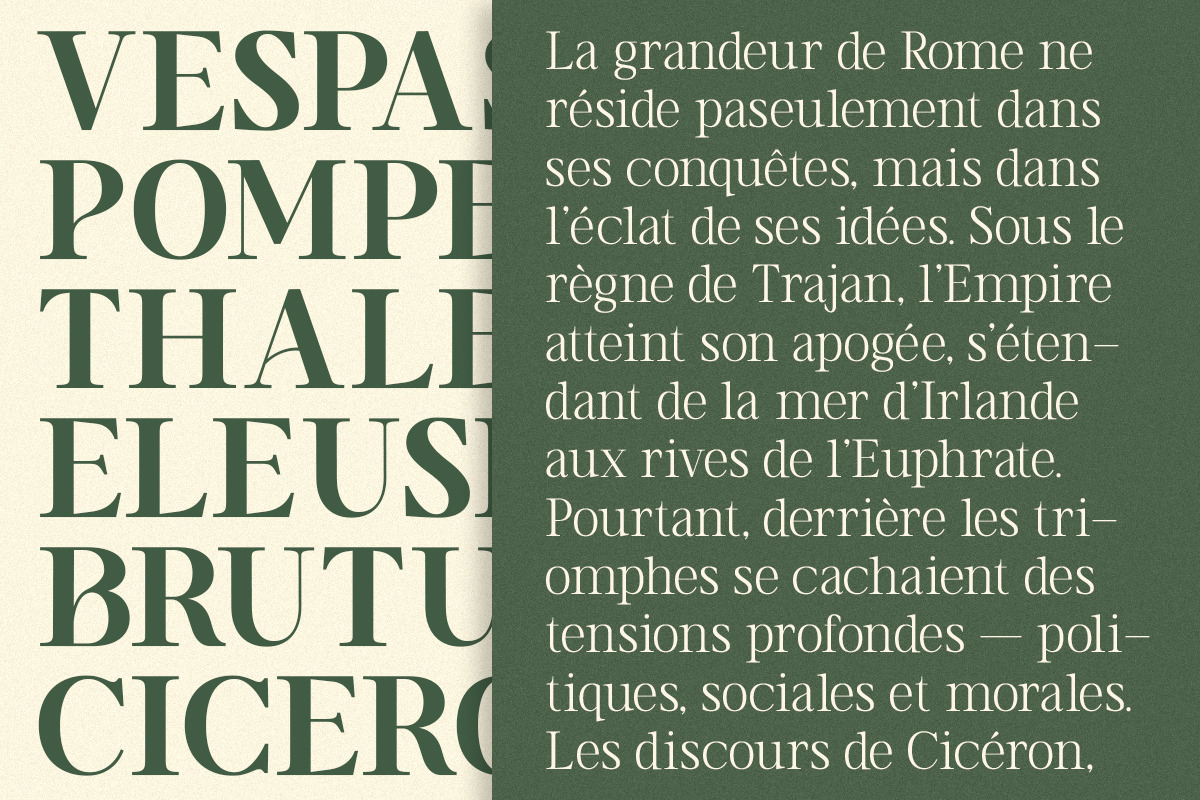 TT Vermolin — Modern Classy Serif, a Serif Font by truetype (Photo 5 of 15)