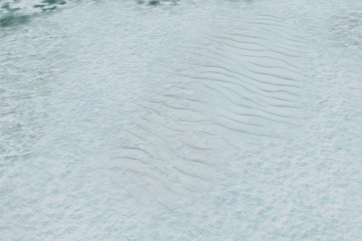 AUTUMN AND WINTER TEXTURE PACK, a Textures & Material 3D Model by Beatheart Creative Studio (Photo 33 of 58)