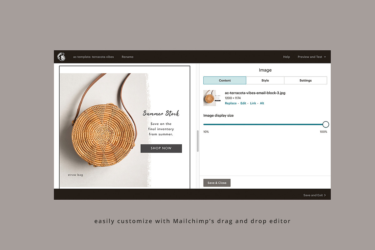 Terracotta Vibes Email Template, an Email Template by Edit & Go Templates (Photo 5 of 5)