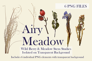 Airy Meadow Cleanly Cut Flower Photo