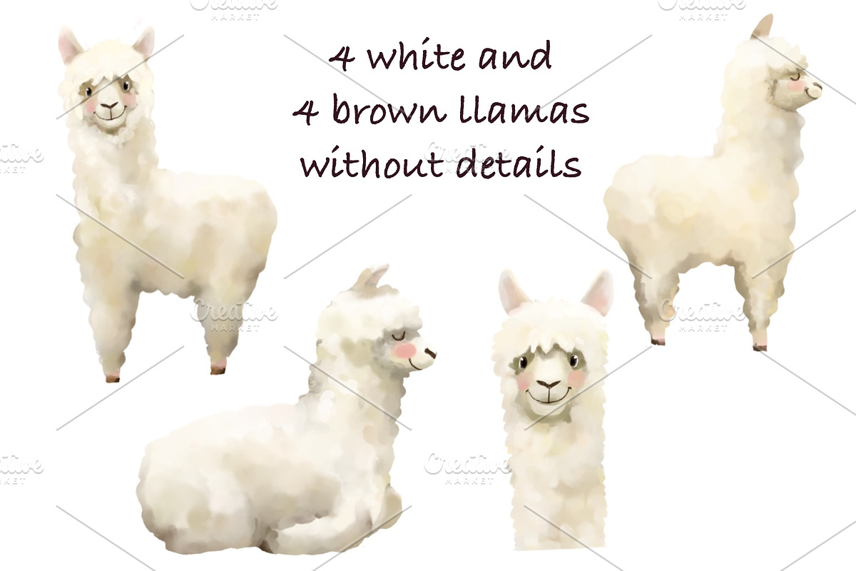 Llamas Watercolor, an Animal Illustration by sheincar (Photo 2 of 4)