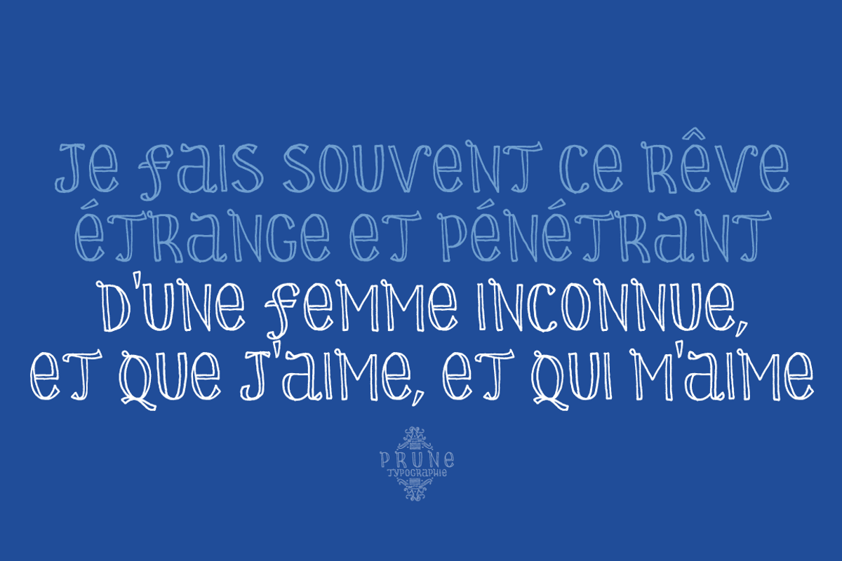 Prune, a Handwritten Font by La Boite Graphique (Photo 3 of 4)