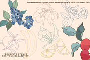 Fruit & Veggies Procreate Stamps, a Brush Add-On by Pink Studio Art (Thumbnail 6 of 8)