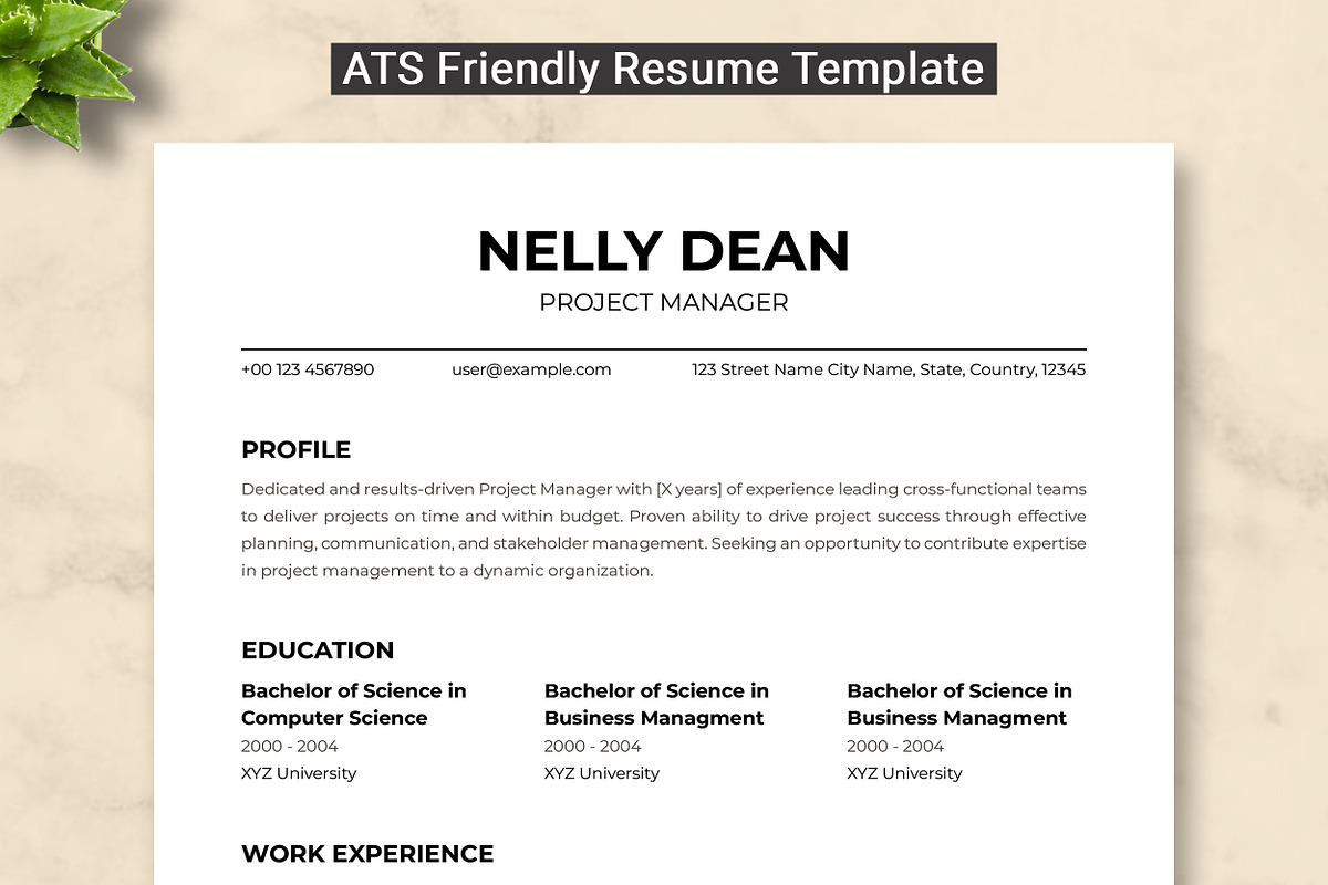 Project Manager Resume Template
