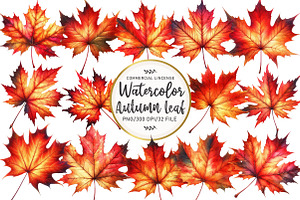 Watercolor Autumn Leaf Clipart, an Illustration by OK Design