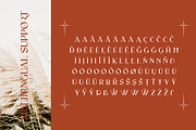 RELIGATH - Serif 316 Ligatures, a Serif Font by Enxyclo Studio (Thumbnail 11 of 11)