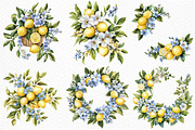 Watercolor Lemon Blossom Clipart, an Illustration by Craft Nest (Thumbnail 5 of 12)