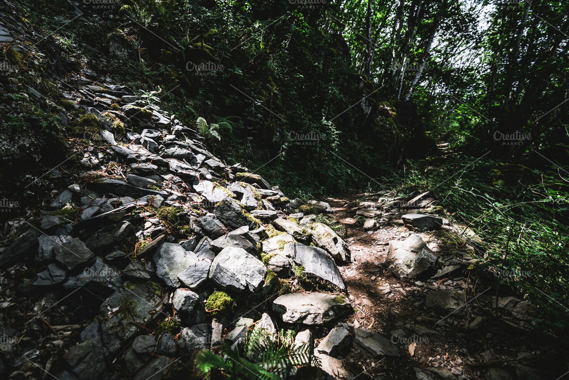 Sunlit rockfall on forest trail, a Nature Photo by SkyNext